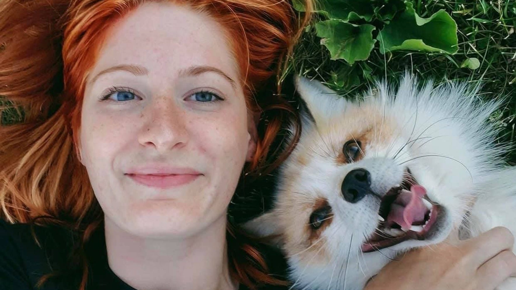 Saving foxes, mental healthcare victimisation and the dark places of the mind
